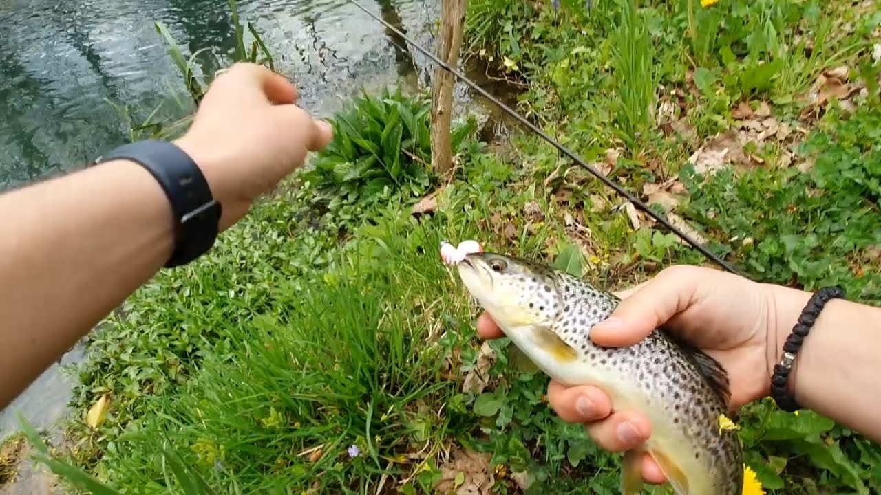 Pecanje pastrmke na silikonce po blago povišenom vodostaju sa kolegom i lijepo druženje.