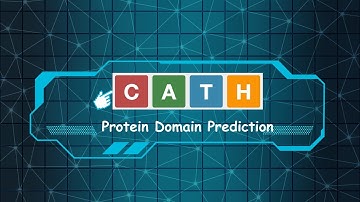 CATH Database Explained | Protein Structure Classification in Bioinformatics