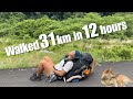 We Walked 31km… and Took the Wrong Mountain⛰️🚶🏽🐕