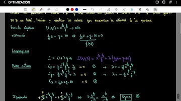 OPTIMIZACIÓN CON RESTRICCIÓN: UTILIDAD MÁXIMA