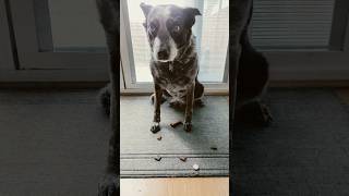 Pill catch : Day 122