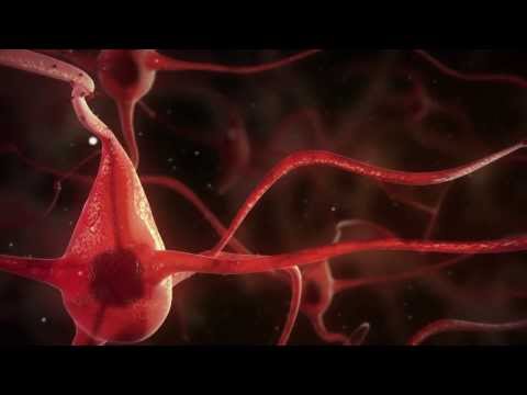 Video: Entstehung Von Toxischem Tau Bei Alzheimer-Krankheit Aufgedeckt
