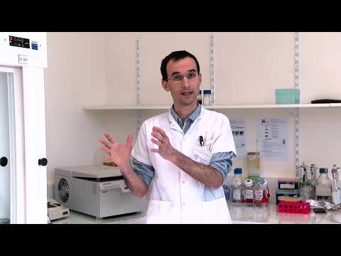 Vidéo: Pneumonie bilatérale au coronavirus