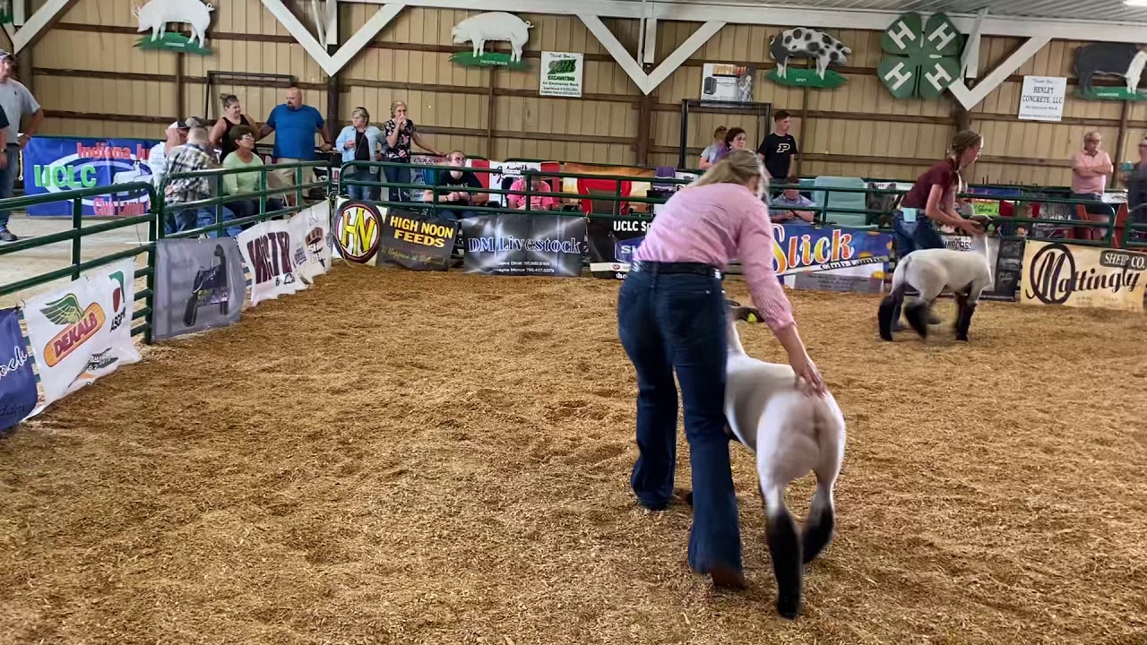2020 lamb showmanship YouTube