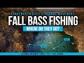 FALL BASS FISHING – Understanding BASS MOVEMENT in the FALL  🍁🍁