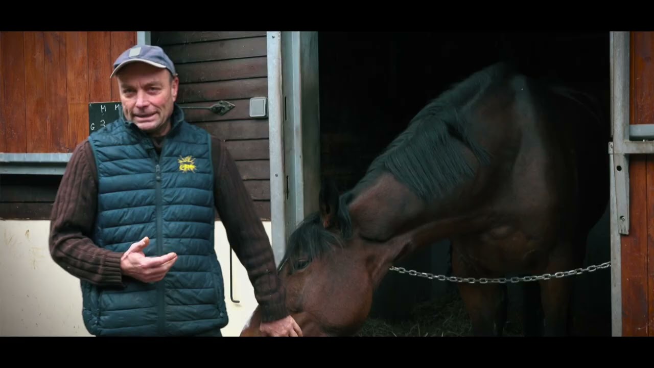 Présentation du métier de soigneur d'équidés