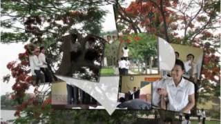 nhung nu cuoi tro lai.avi