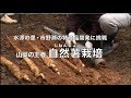 撮れたて あやべ第165回「自然薯栽培」
