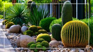 Desert Garden Minimalism ✨ Sculptural Cacti and Warm Earthy Elegance