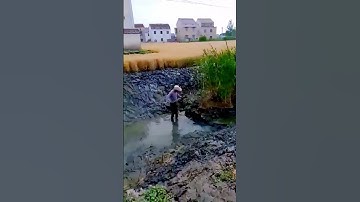 The process of shoveling dirt = good tools increase efficiency