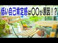 【自己肯定感が低い】低い自己肯定感は〇〇が原因!?【心理カウンセラー南ユウタ】