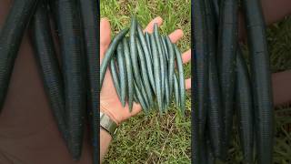 Great way Re-use old baits!!🔥#godfirst #fishingbaits #baitmaking #handmadelure #diy