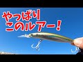 ショアジギング】日本一釣れるルアー「セットアッパーランカーハンター