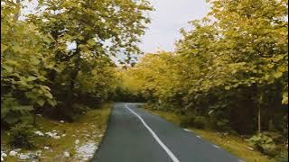 story WA jalan di hutan jati(1)