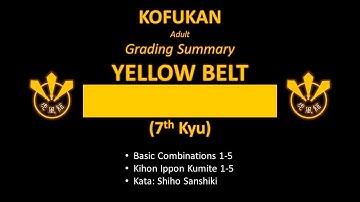 Grading Summary: Yellow Belt (Adult)
