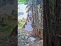 itu di pohon pisang serem banget gaies‼️#trending