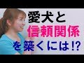 愛犬と信頼関係を築くために大切なこと！【犬のしつけ＠横浜】by遠藤エマトレーナー
