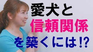 愛犬と信頼関係を築くために大切なこと！【犬のしつけ＠横浜】by遠藤エマトレーナー