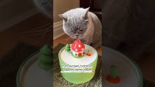 Your Pet Needs This Water Fountain 💧 #amazonfinds #pettips #catcare