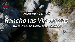 RANCHO LAS VINORAMAS  Biosfera Sierra de la Laguna B.C.SUR Restaurant Granja Rancho comida Choyera