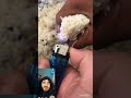 أرز بلاستيك صيني السعودية اكسبلور