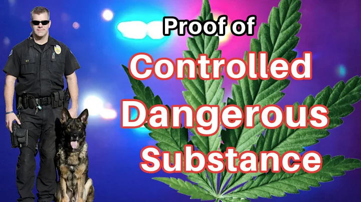 How Law Enforcement Proves You Had Possession of D...