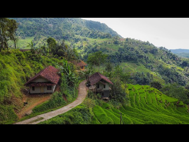 KECAPI SULING SUNDA PALING MERDU, Rumah Di Lereng Gunung, Cisewu Pemandangan Alam Pedesaannya Juara class=