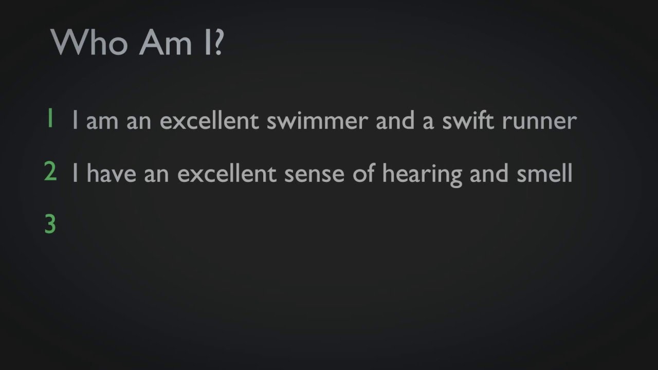 education film Who Am I - Animals - 5 - Educational Videos