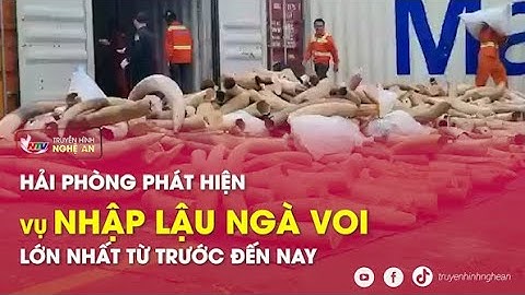 Hải Phòng phát hiện vụ nhập lậu ngà voi lớn nhất từ trước đến nay