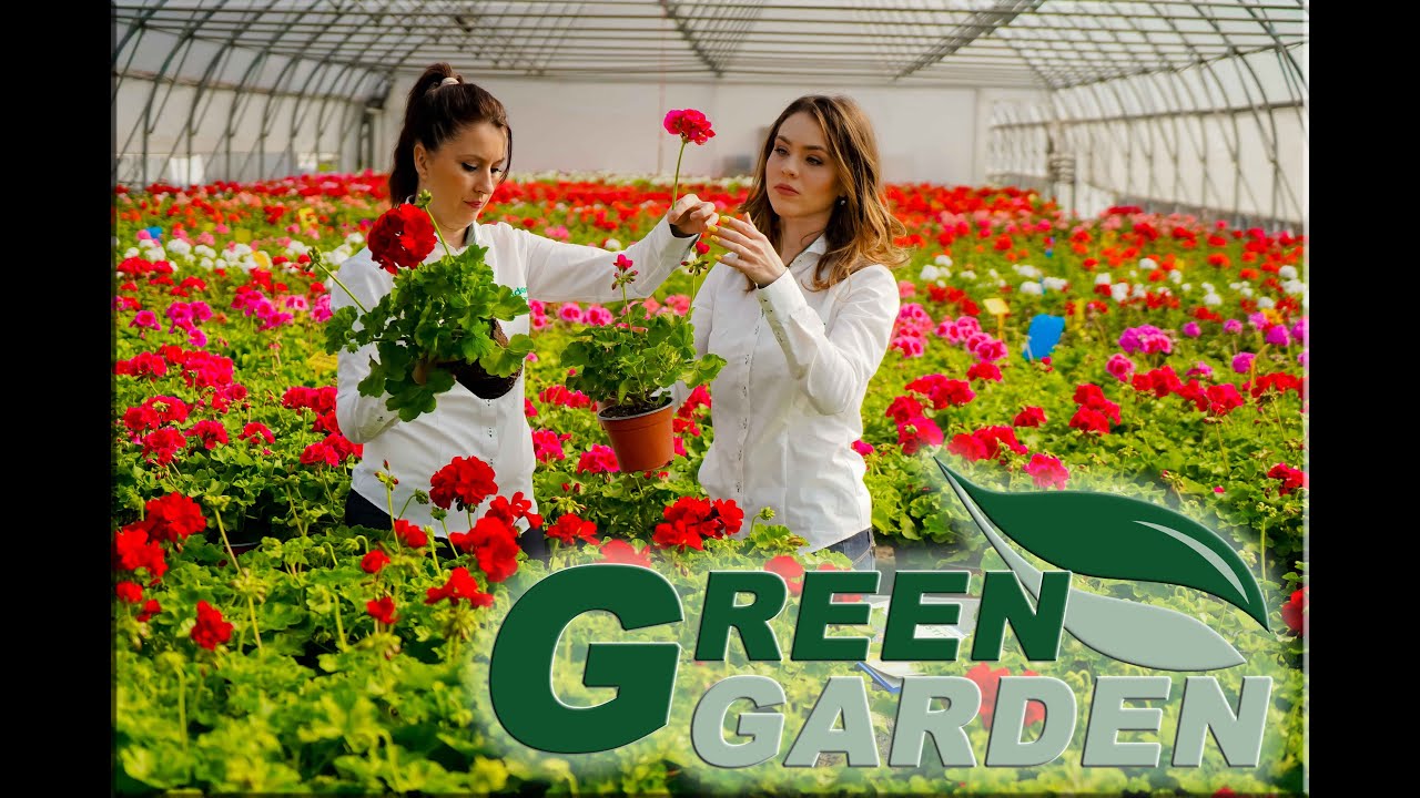 🟢 Green Garden - Premijum cveće Zelenog hita (E001)