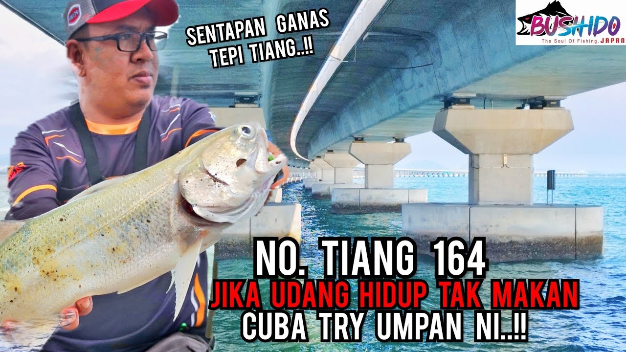 Air Laut Pasang Laju Sesuai Guna Umpan Killer Ni..!!