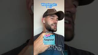 Bread Basket Wavelength