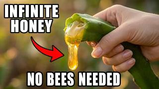 Infinite Honey Without Bees: The $0 "Miracle Plant" They Kept Hidden For Centuries