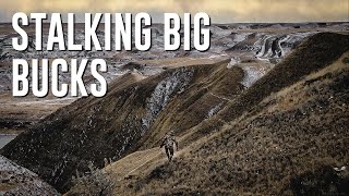 ALBERTA ARCHERY MULE DEER HUNT WITH PRIMITIVE OUTFITTING 2020