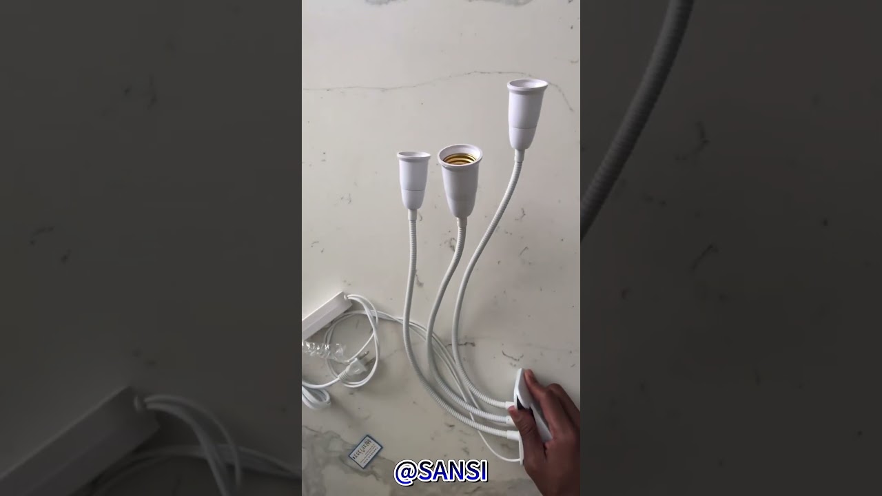 📦➡️🌿From Box to Jungle: How This 3-Headed Wonder Transformed My Plant Corner🫣🪄