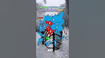 How Many Official Languages Does Your Country Have? #shorts #history #historymap #countries #mapping