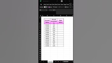 De snelste manier om uw salarisverhoging te vinden met Excel