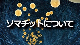 ソマチットについて