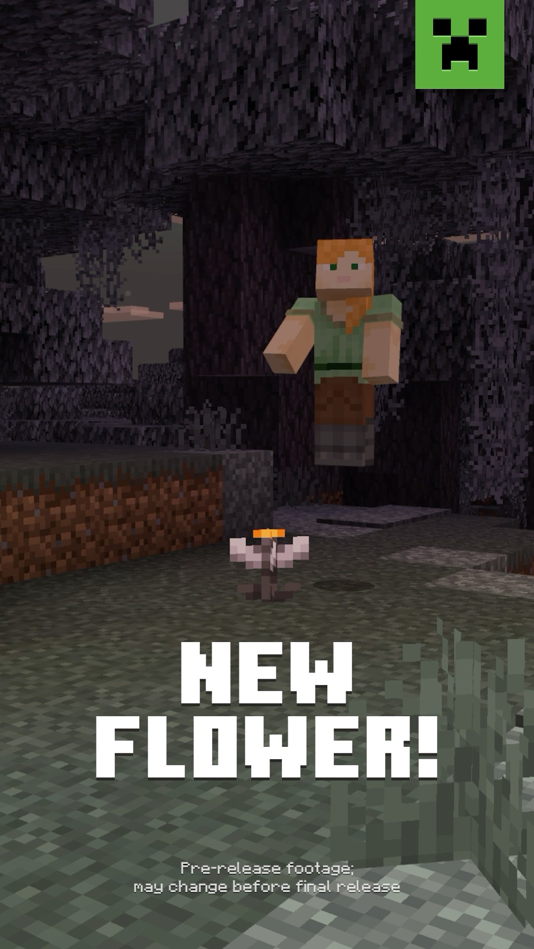 NEW FLOWER ALERT: EYEBLOSSOM!