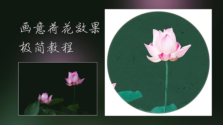 保姆级教程！Ps制作画意荷花中国画效果 - 天天要闻