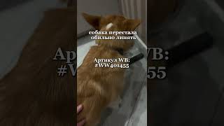 Гений, кто придумал это масло❗️