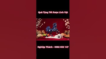 Quà Tặng Tết rượu linh vật ngựa – Khi mỗi món quà là một tác phẩm nghệ thuật