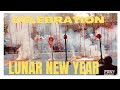 New York 2023 |Lunar New Year Celebration in Chinatown,Manhattan,NY(Jan 22,2023)