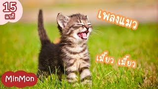 เพลงแมว ลูกแมวน้อยแสนน่ารัก แมวตัวจริง ยาว 15 นาที | เพลงเด็กอนุบาล | MinMon