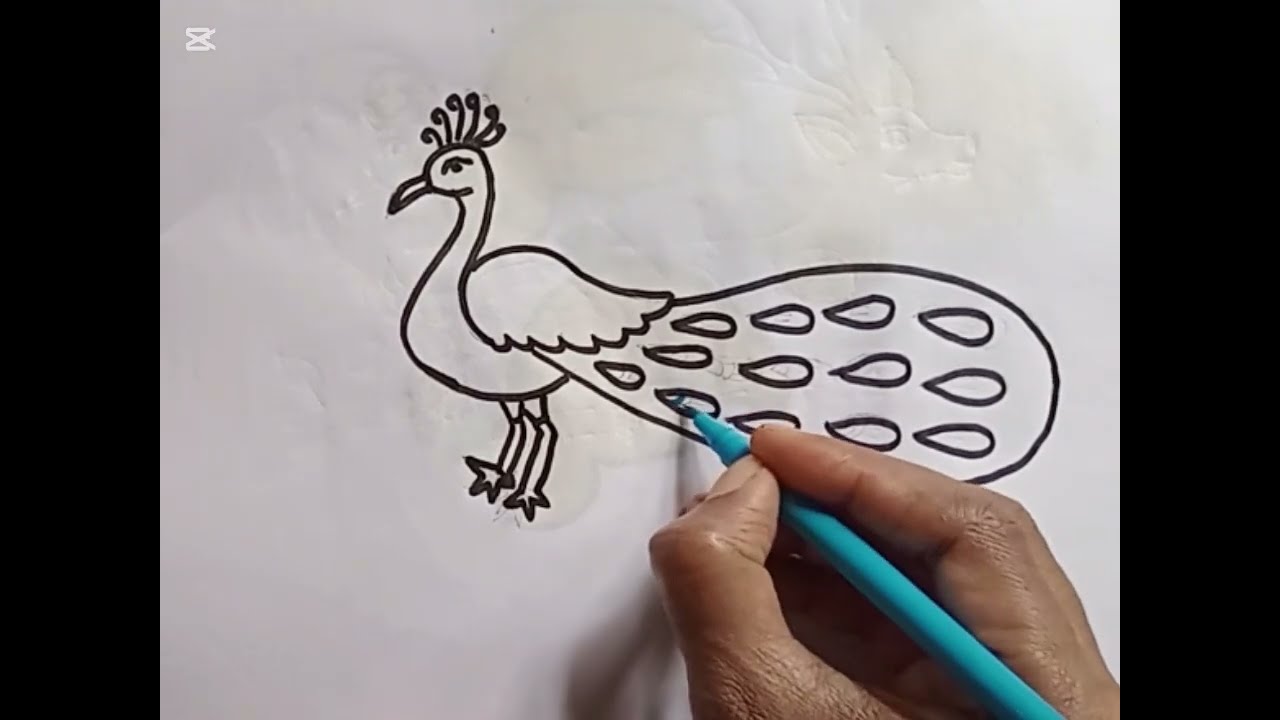 peacock drawing #viralvideo 