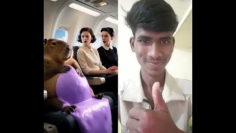 Capybara : Rubbing your stomach fells really Comfortable! #animals #capybara #shorts *#funny #viral