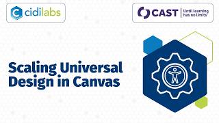 Scaling Universal Design in Canvas screenshot 4