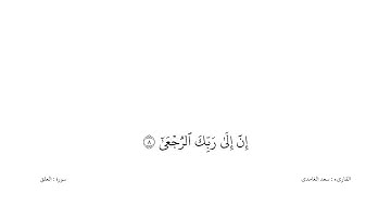 سعد الغامدى القران كریم خلفیه‌ بيضاء (سورة العلق)