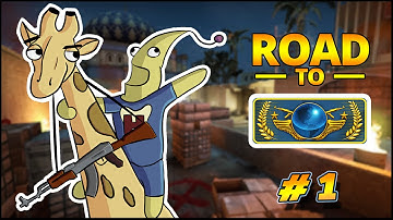 THE BEGINNING ! - Road to Global Elite #1