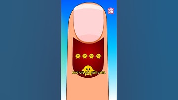 How our Nails Grow | How Long do Nails Grow in a Month? #fingernails #humanbodyfacts  #drbinocsshow